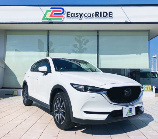 Easy car RIDEの画像です